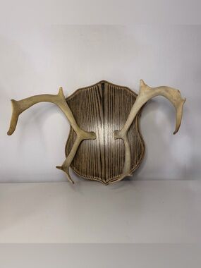 Mounted real deer antlers wall decor on wood plaque